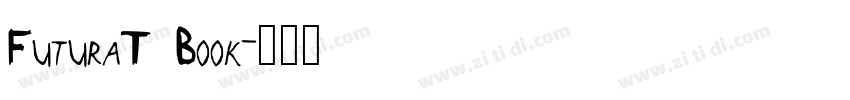 FuturaT Book字体转换